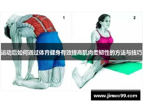 运动后如何通过体育健身有效提高肌肉柔韧性的方法与技巧